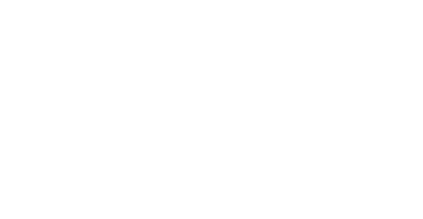 Logo of a StackStead Solutions client